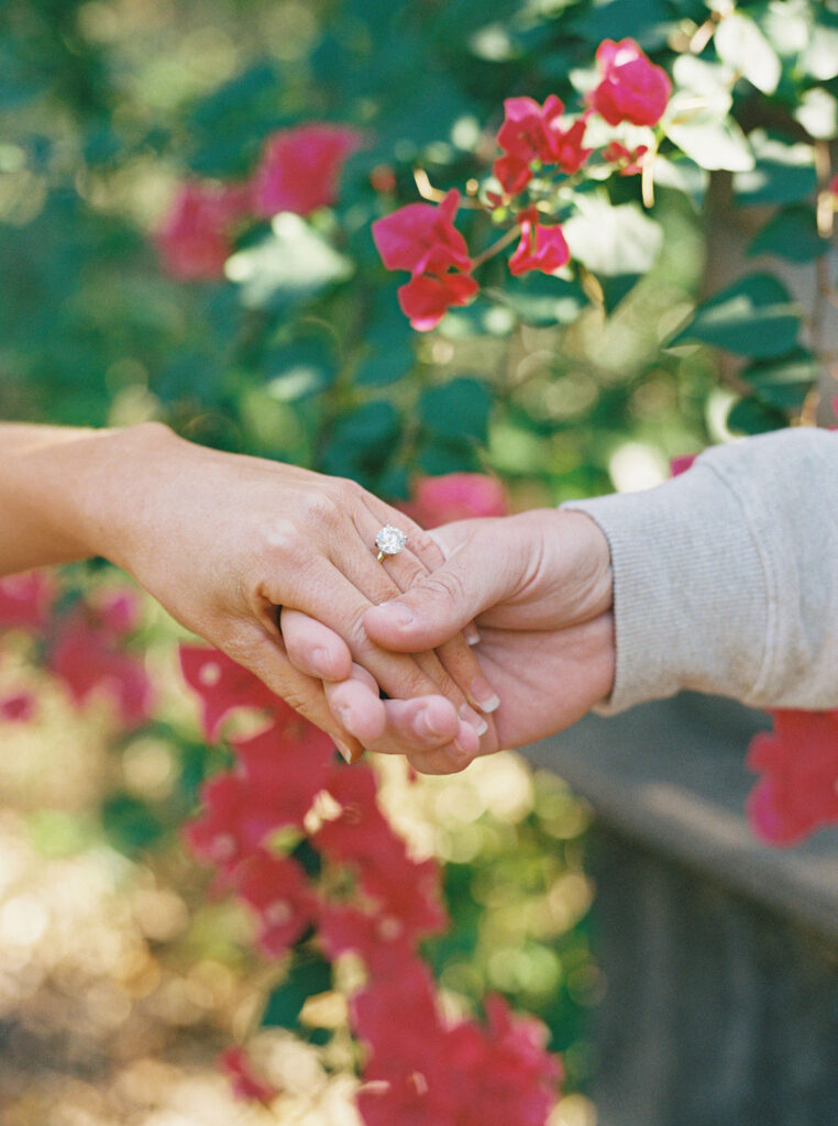 Laguna Gloria Engagement Session in Sunshine on FIlm